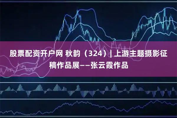 股票配资开户网 秋韵（324）| 上游主题摄影征稿作品展——张云霞作品