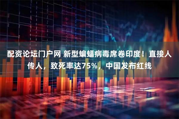 配资论坛门户网 新型蝙蝠病毒席卷印度！直接人传人，致死率达75%，中国发布红线